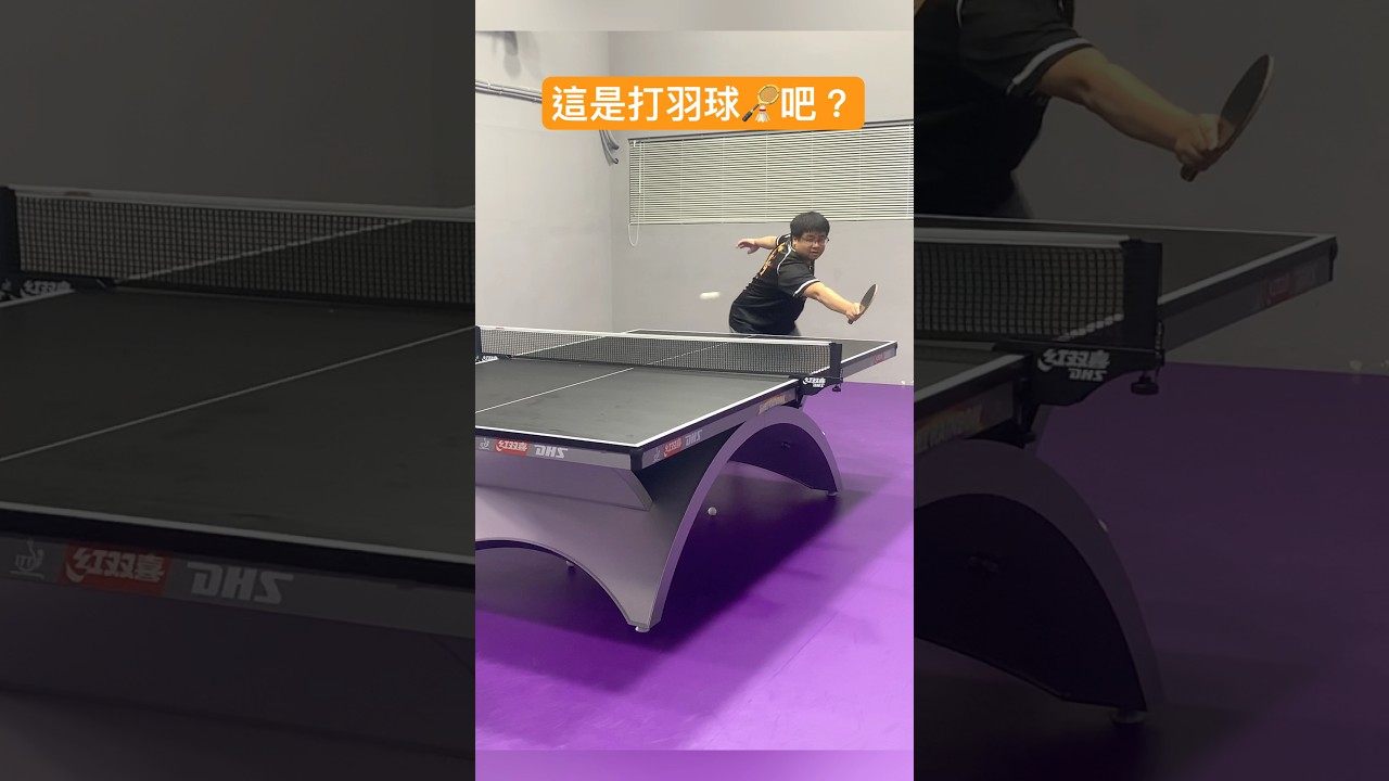 次审视运动